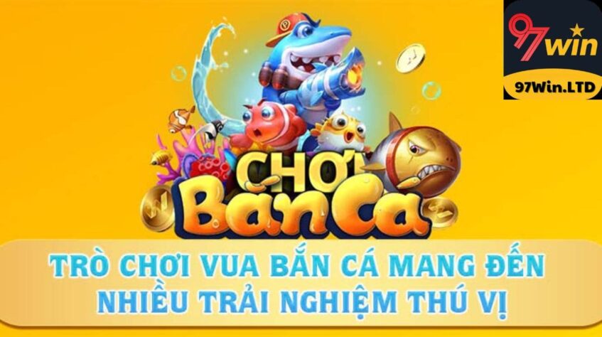 Trò chơi vua bắn cá mang đến nhiều trải nghiệm thú vị