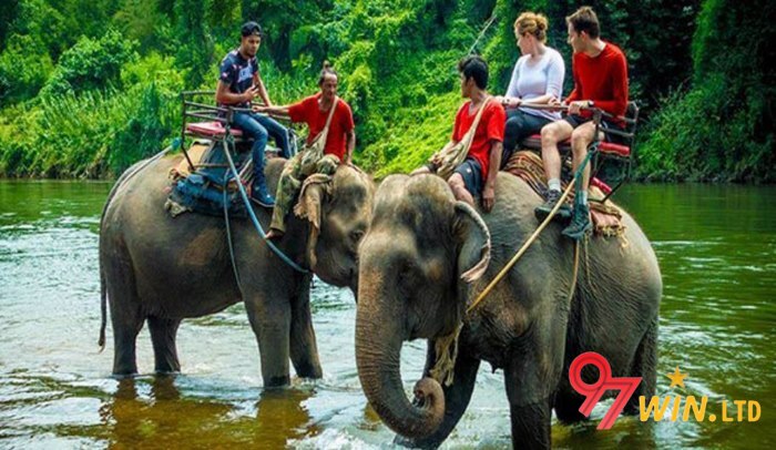 Nằm mơ thấy bản thân cưỡi voi